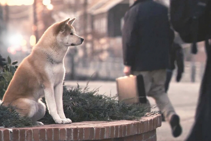 Hachiko, the Faithful Dog