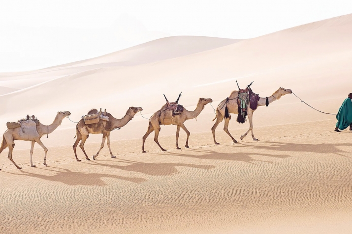 Allah Rəsulunun ﷺ həyat hekayəsi