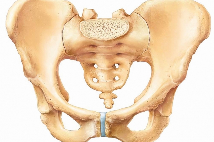 They are impossible to destroy...