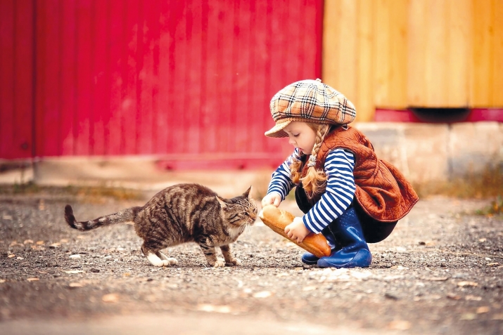 Адалатлу жемят хьунин бине