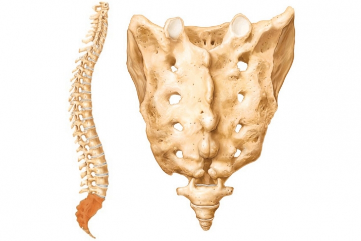 They are impossible to destroy...