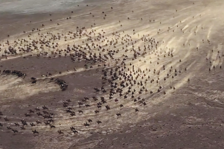 Allah Rəsulunun ﷺ həyat hekayəsi