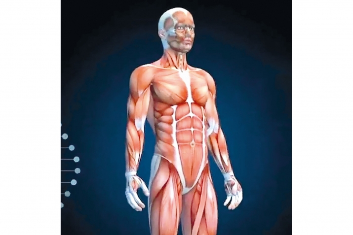 Оруҹун бәдәнә нә фајдасы вар?