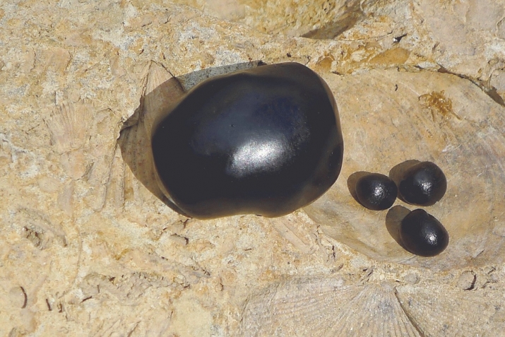 Мумиё – универсаль продукт