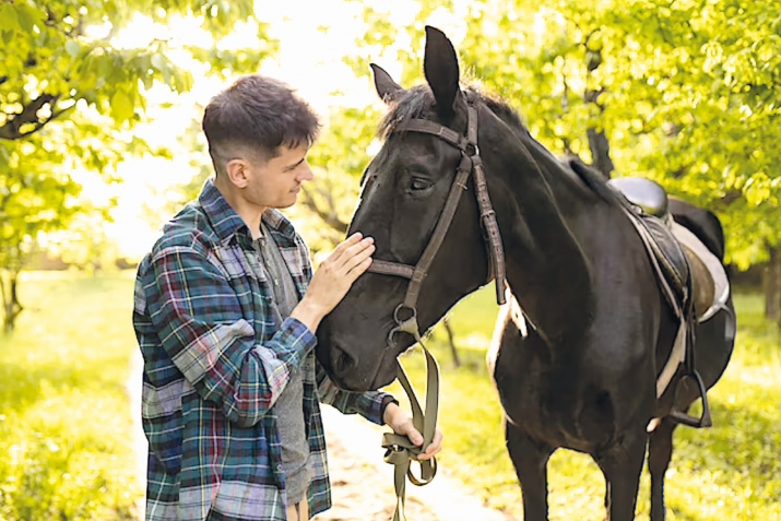 Гьородаса бижараб