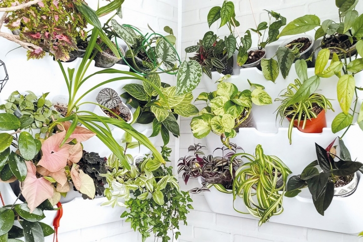 Евдә биткиләр нә үчүндүр?