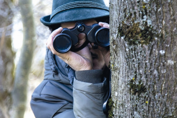 Ингилисазул жасус