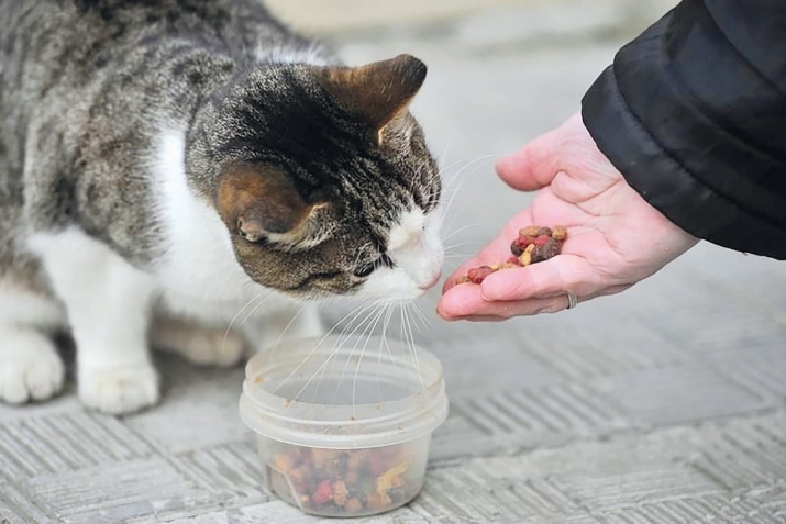 Себебар ва нетижаяр