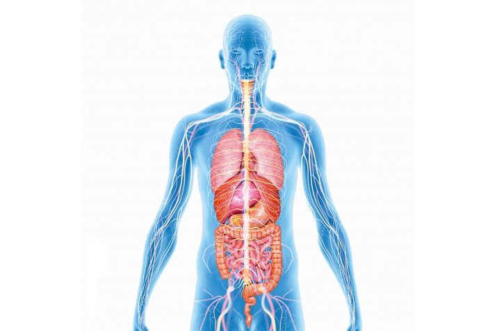 10 фоидаи рӯза ба саломатӣ