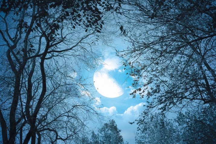 Гирами ваз улдубчlвну!