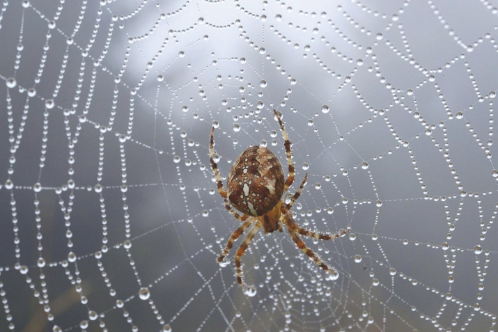 ҺОРАУҘАР ҺӘМ ЯУАПТАР