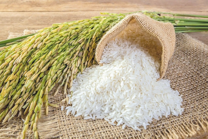 Дуьгуьдикай авай хийир