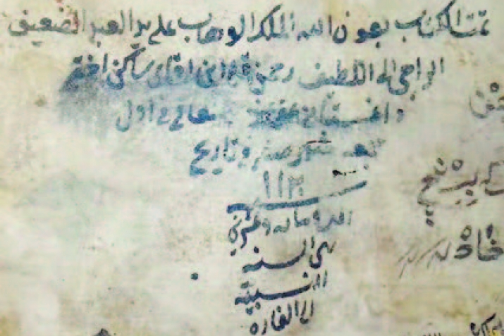 Рагьман-къули эфенди: сифтегьанбурукай сад