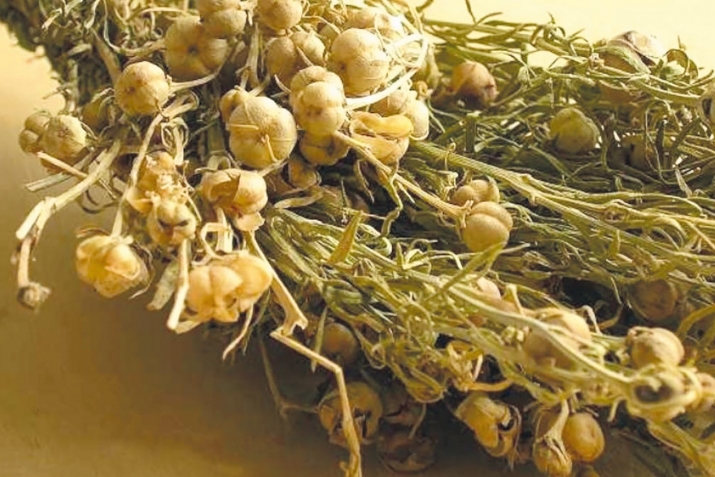 Ҳушдор ба шаҳрвандони Тоҷикистон дар Русия