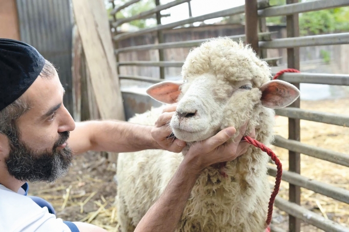 Qurbаn bаyrаmı (İd әl-Әdhа) - müsәlmаnlаrın әsаs bаyrаmıdır