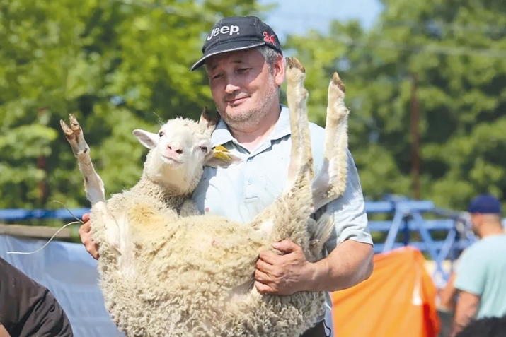 Къурбандин сувар