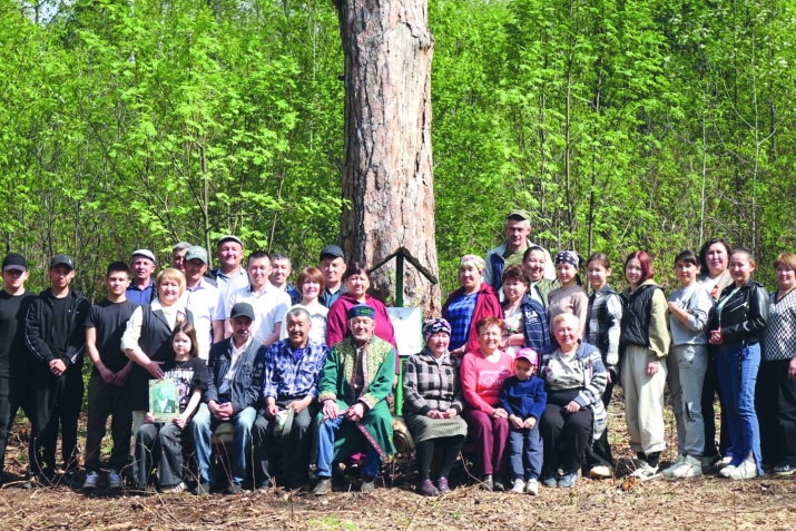 Солоҡсоға таҡтаташ