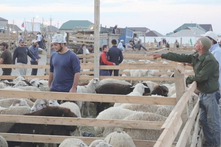 БекIлибиубси байрам