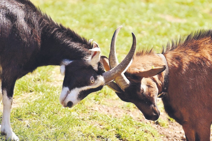 Сахъти кьяцни