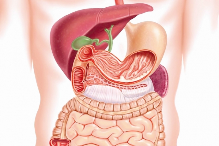 Yаz аylаrındа qidа zәhәrlәnmәsi, susuzlаşmа vә digәr mәdә-bаğırsаq prоblеmlәri