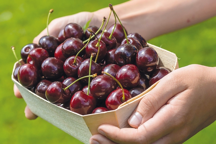 Гелос – давои камхунӣ