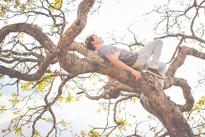 Агач башындагы кунак