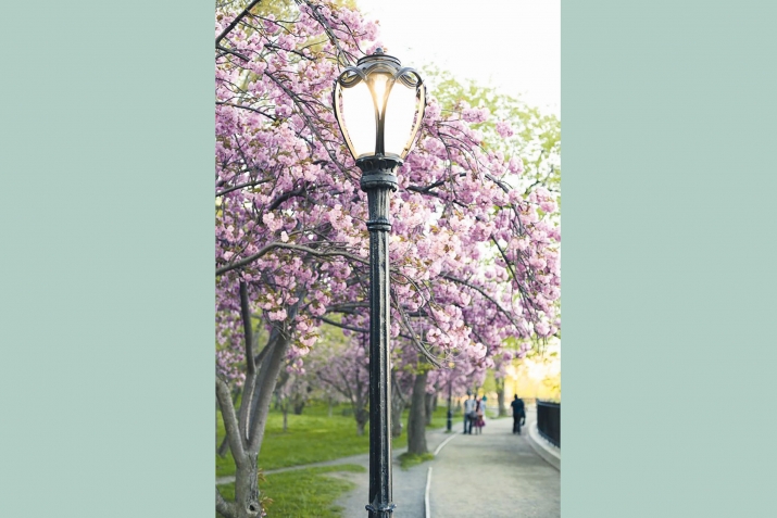 Яйда янгыртып къурув башлама унутмайыкъ