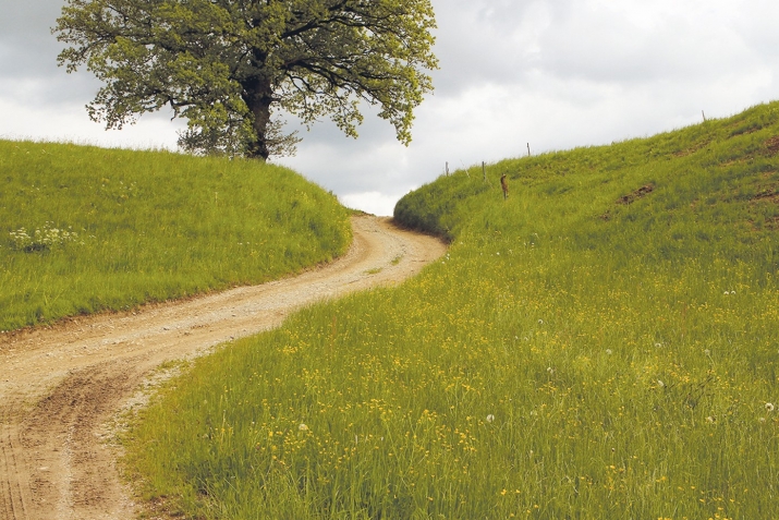 Сәфәрҙән ҡайтҡанда