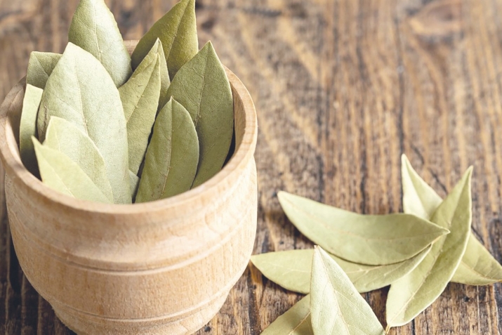 Лавр япрағының файҙаһы