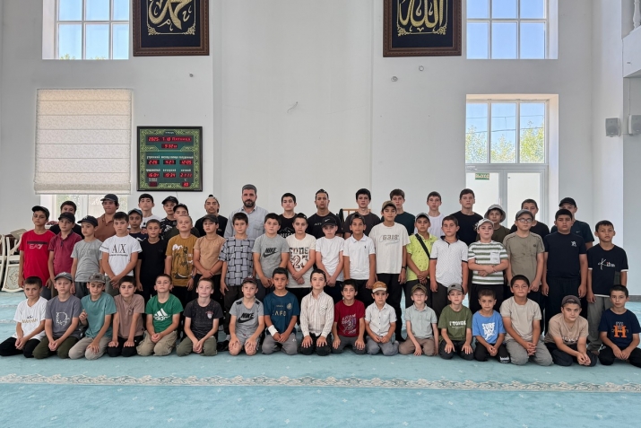 Вири тербия патал