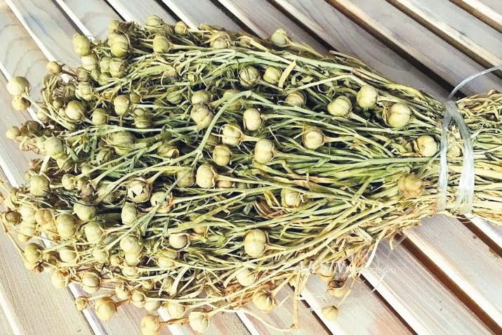 Муҳоҷиронро барои ҳазориспанд дар Русия суд ё депортатсия мекунанд?  