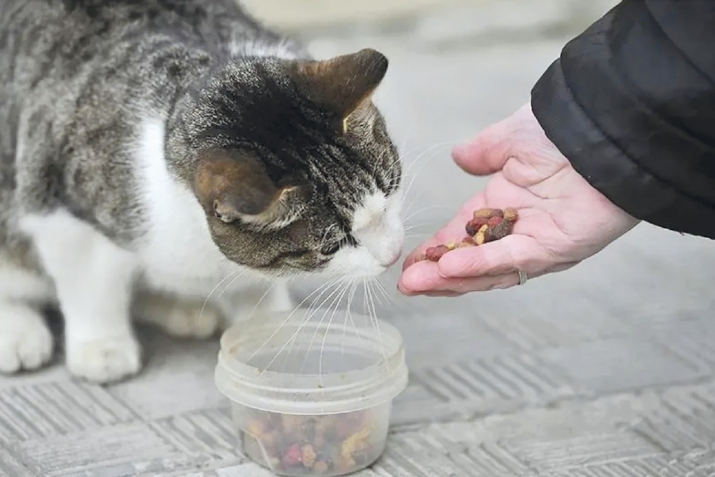 Аллаһ ризалыгы өчен эшләнелгән гамәл