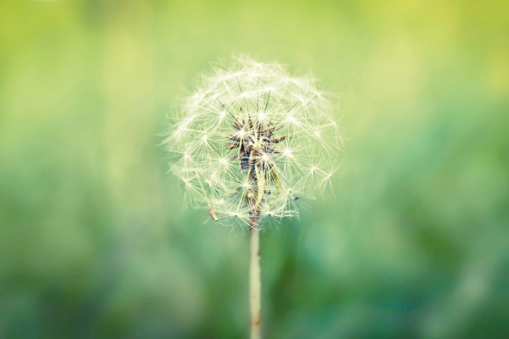 Тыелганнан ерак булыйк