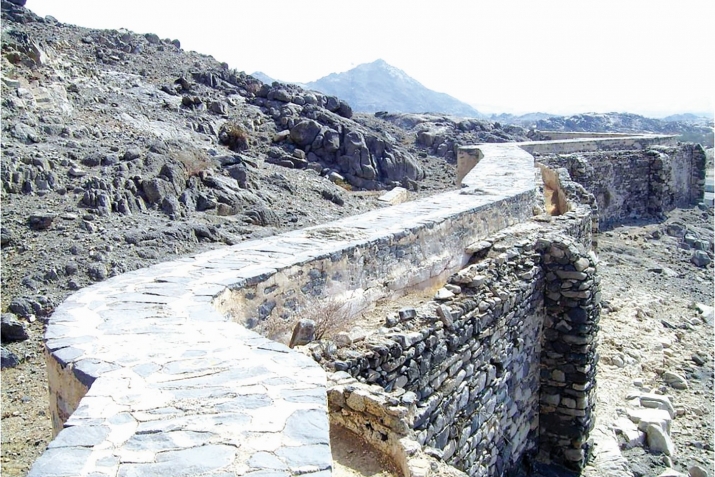 Хайваннар җир тетрәү булачагын берничә сәгать алдан сизә