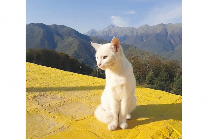 Бала йокысы