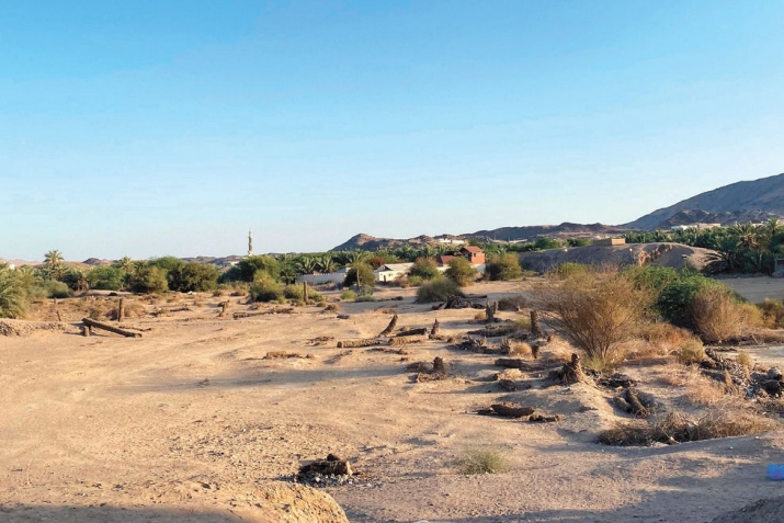 Пайхаммарны ﷺ яшав ёлу