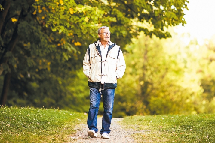 Пиёдагарди