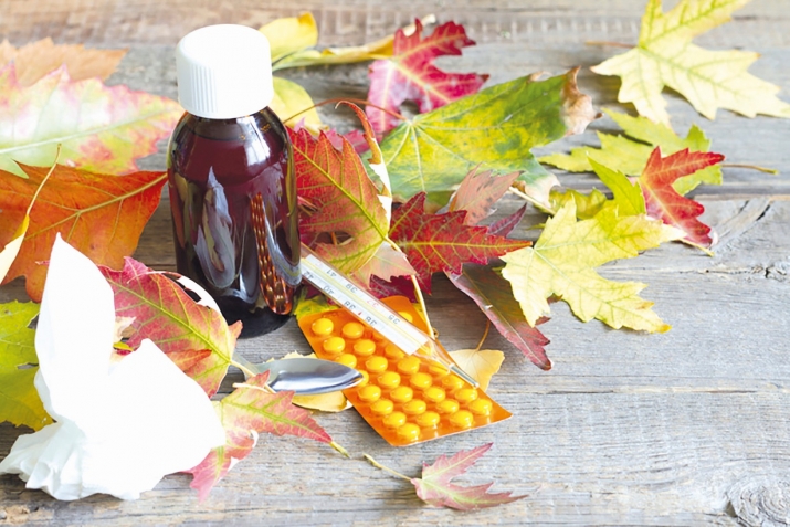 Бемориҳои тирамоҳӣ