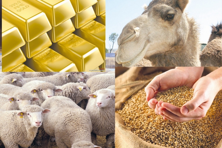 Закат пай апIбакан