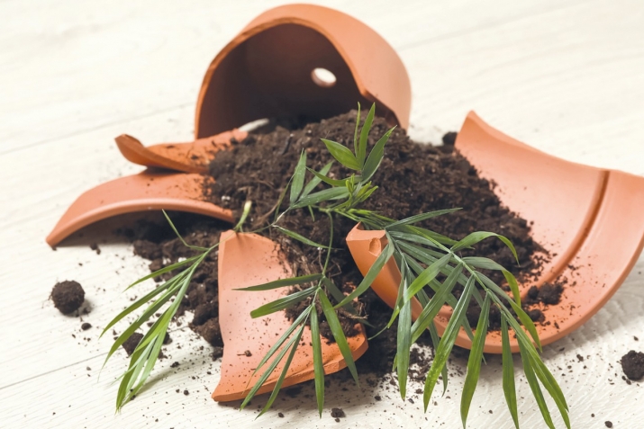 Шайтан яҙмалары