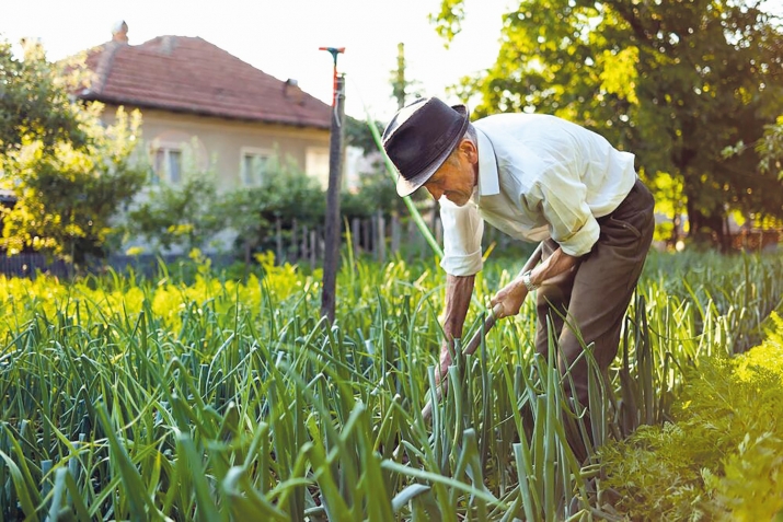 ХIалал ва хIарам