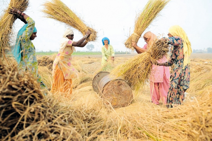 Фатимаца хвасар гьабуна