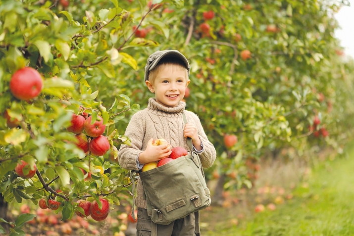 ТалихI батила, баракат лъела
