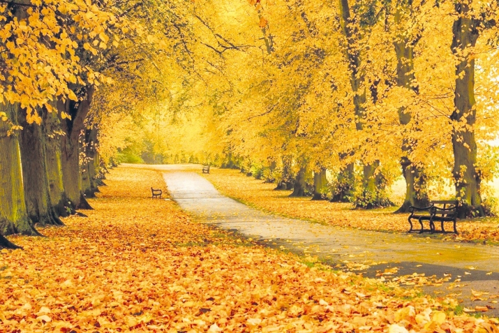 Алтын гюзде этилмеге яхшы ишлер