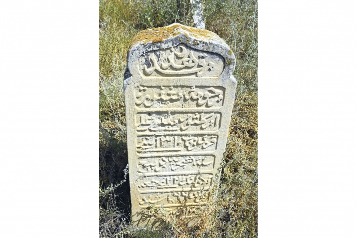 Суалривди ацIана рикI