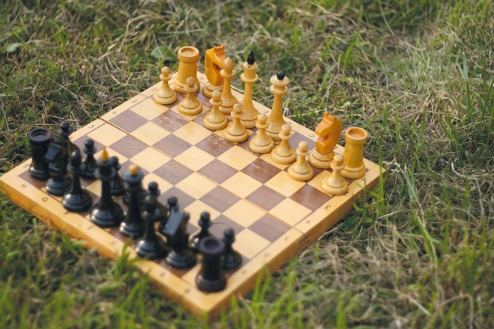 Дар шаҳри Душанбе мусобиқаи байналмилалии шоҳмот мегузарад