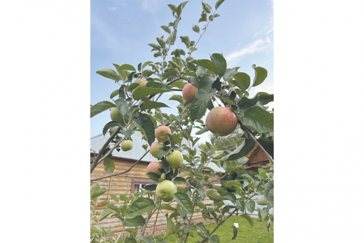 Алмағаслы бала саҡ