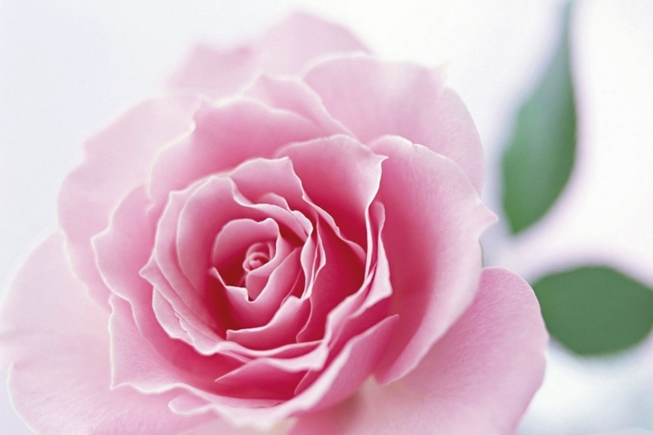 МухIяммад Идбагла ﷺ баракатла хьунри