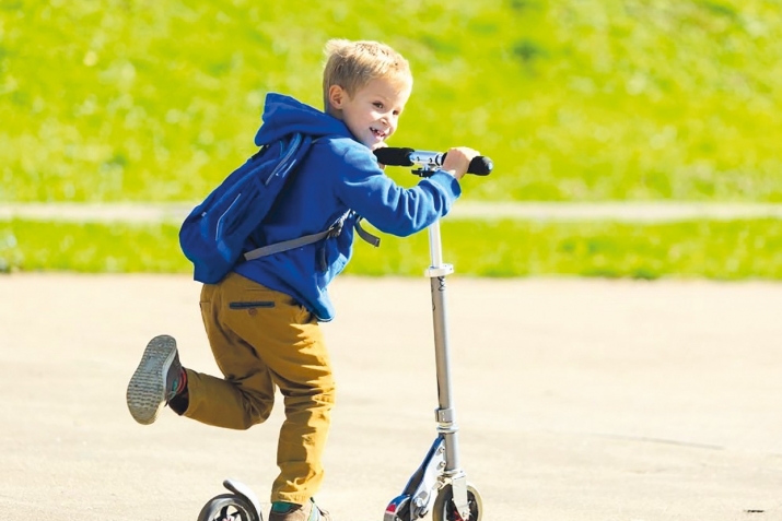 Ёл юрюшню низамы