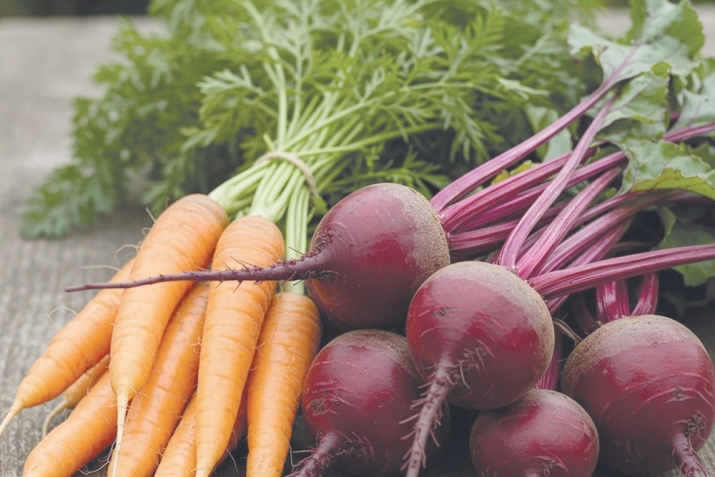 Файҙалы һабаҡтар